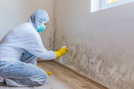 Trusted Merriam Woods, MO Mold Removal Services Experts